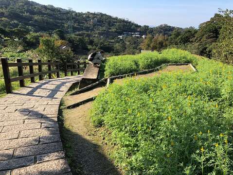 青翠蓬鬆的海綿蛋糕