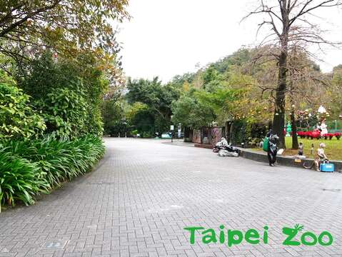 近期走在臺北市立動物園園區時，路邊的草叢中，就不時傳出低沉的鳴叫聲