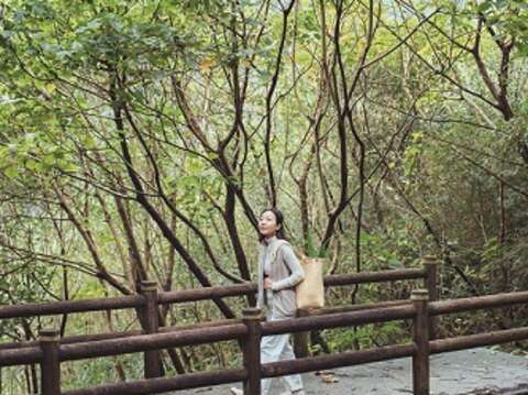 春之風景 台北植感日常(台北畫刊109年1月)