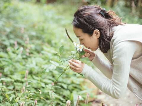 植物藝術家的年味計畫(台北畫刊109年1月)