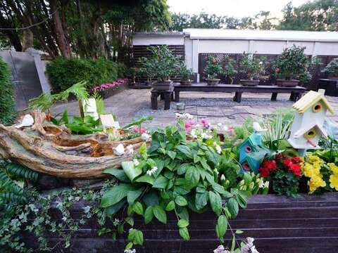 茶花展戶外庭園