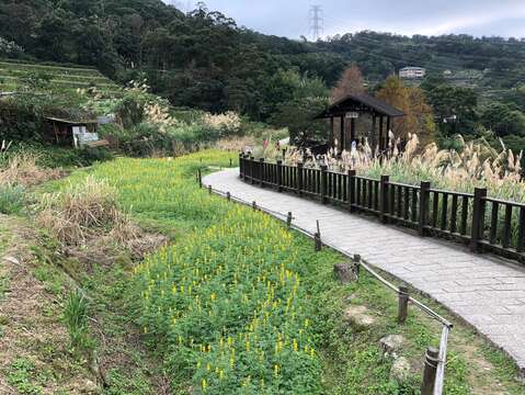 與步道同行