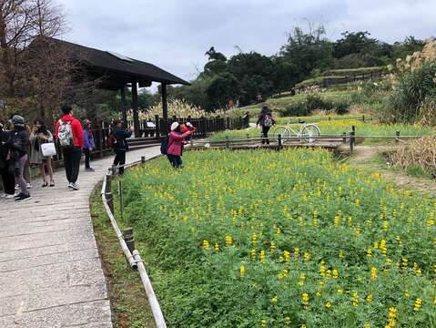 乘著微風徐行