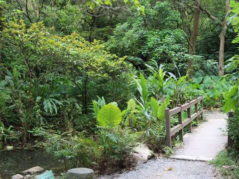來到富陽自然生態公園絕對不能錯過豐富的動植物生態