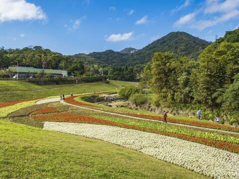 大溝溪花海平日、假日均吸引不少民眾來此野餐、踏青
