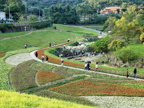 去大溝溪生態治水園區欣賞絕美花海