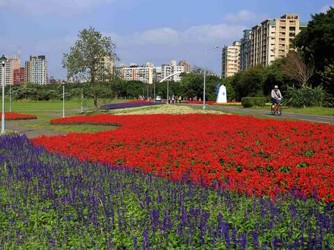 春節好去處 北市河濱花海迎接新年新氣象