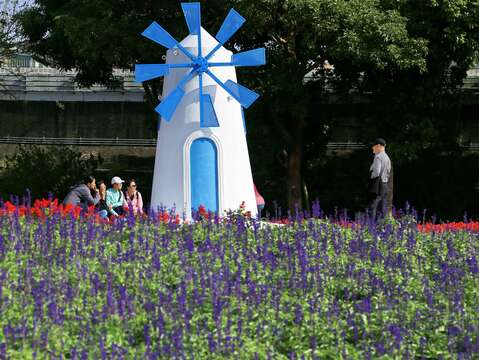 水利處在古亭河濱公園營造約8,234平方公尺(約2,490坪)的廣大花海
