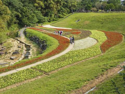大溝溪花海鄰近捷運大湖公園站