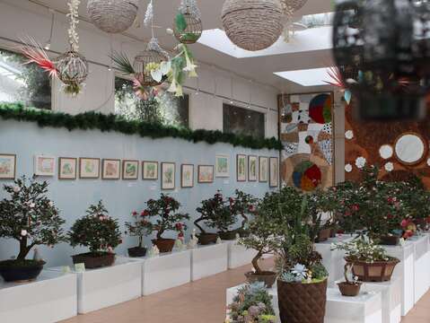 2020臺北茶花展_室內茶花盆景