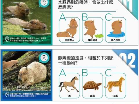 2020鼠年特展