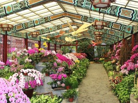 士林官邸2020春節花卉展自1月25日起展出