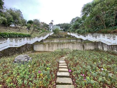 七星池杜鵑花