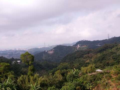 從貓空山區遠眺山區美景與臺北市市容。