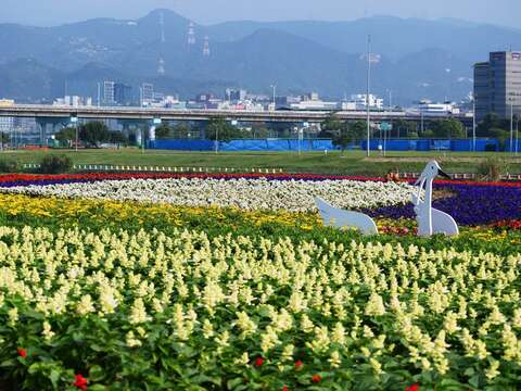 水利處用回收材質製作Q版鳥類裝置藝術 為觀山花海增添活力