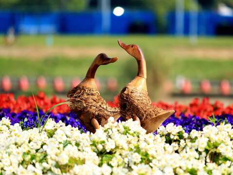 「観山河浜公園」の花畑が見頃　花見とバードウォッチングに！