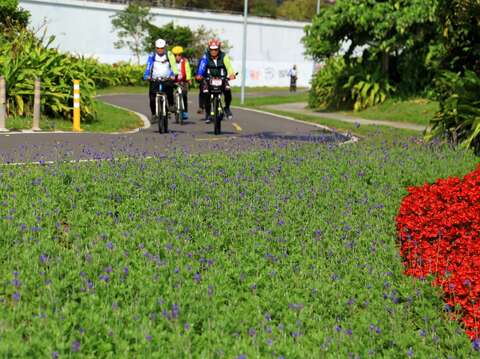 「観山河浜公園」の花畑が見頃　花見とバードウォッチングに！