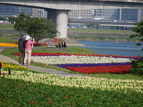 「観山河浜公園」の花畑が見頃　花見とバードウォッチングに！