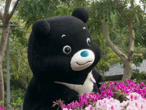 熊讚與美麗的杜鵑花