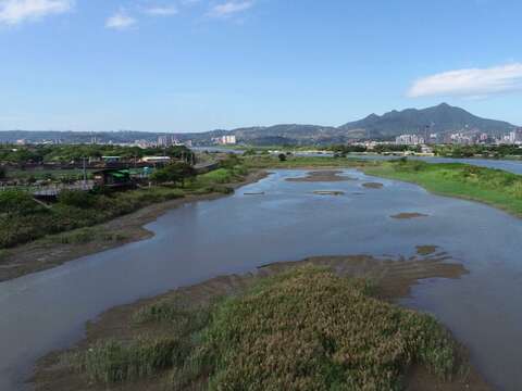 透過此次調整工程，顯示社子島濕地的經營管理方向正確值得期待。