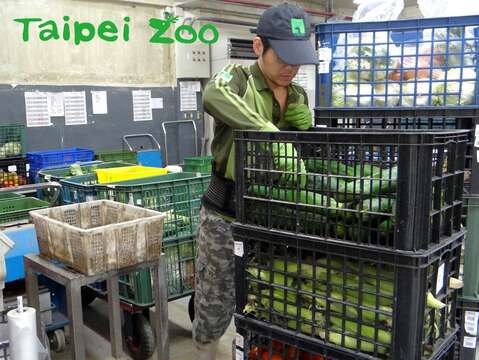 動物園響應源頭減塑-動物餐車宅配客製化
