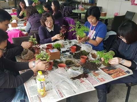 生態農園體驗-植物DIY
