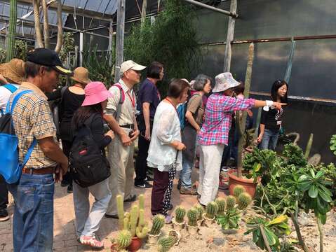 芋見日常小旅行-仙人掌農園解說