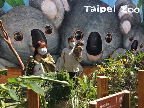 臺北市立動物園3、4月份的保母講古活動正式上線囉！