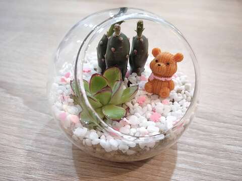 生態瓶