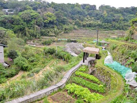 湖底聚落梯田景緻