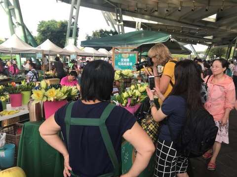 在花博農民市集就可以購買到新鮮睡蓮
