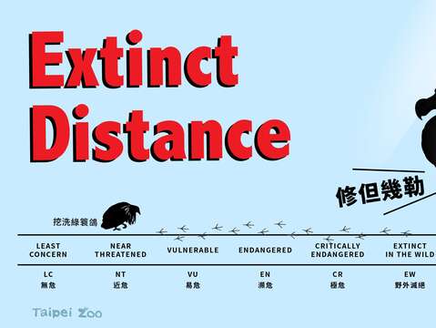 別讓瀕危動物成為下一個渡渡鳥