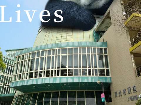 巨大示範居家檢疫標準姿勢_大貓熊