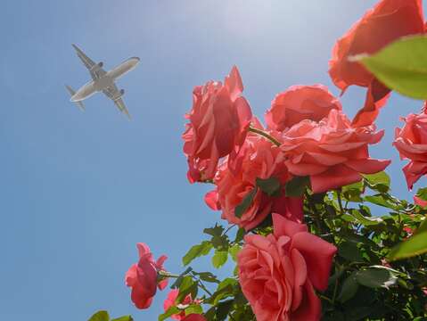 「花海x航行x浪漫」攝影比賽持續徵件中