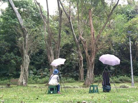公園的生態環境營造與景觀設計搭配，讓市民在公園漫步時，可以享受自然的律動與四季的移轉