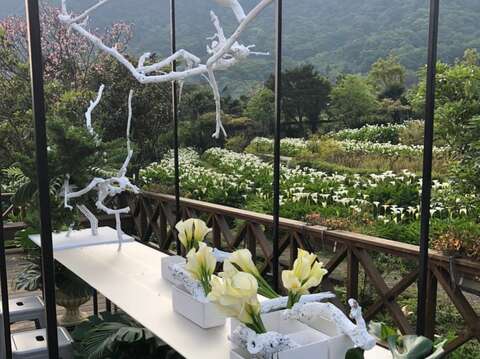 花田餐桌-苗榜花園