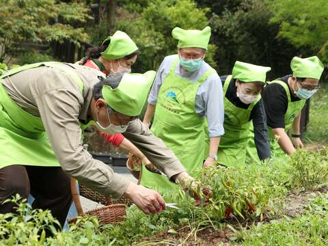 Four Beast Mountains Forest Project: Upgrading a Local Recreational Destination