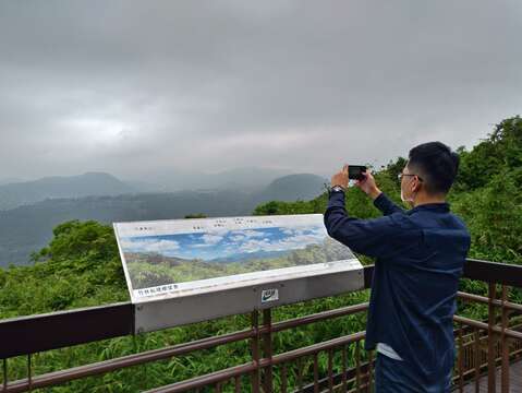 竹林秘境遠眺內湖山景。