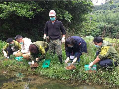 今天的野放過程十分順利，也是臺北市立動物園首次將圈養繁殖的本土物種野放回歸山林