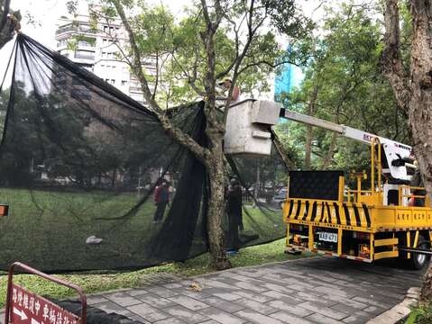 螢火蟲季來臨前，公園處鋪設黑網以減少光害對螢火蟲的干擾。
