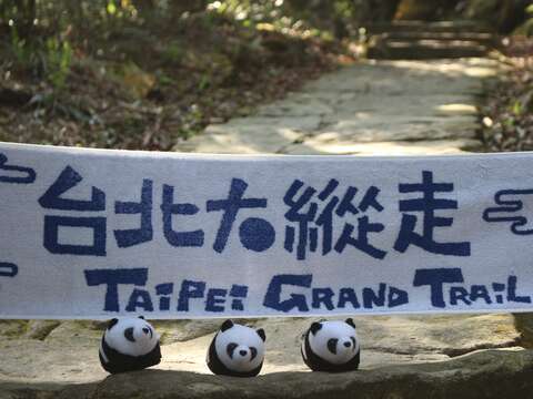 春天來的悄無聲息，不知不覺中，山林裡早已百花齊放，讓我們一起來去大縱走賞花看樹吧!