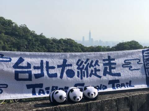 來去大縱走賞花看樹，在山林中大口呼吸清新的空氣，恣情的觀賞百花爭妍吧!