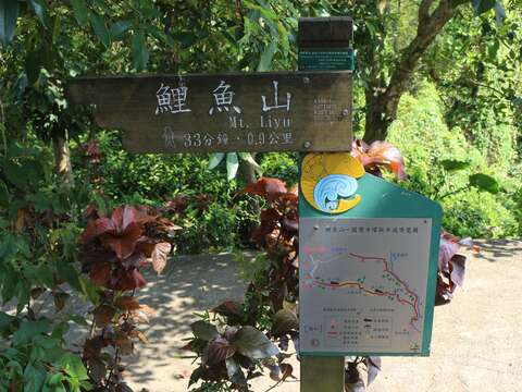 沿途有步道導覽圖指引行進方向
