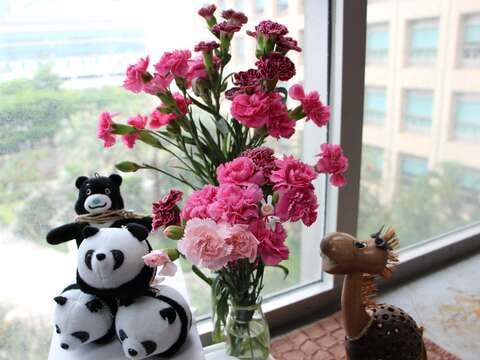 康乃馨一莖可著花數朵，花形多為重瓣