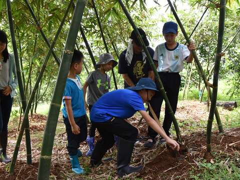 採筍體驗活動-北投
