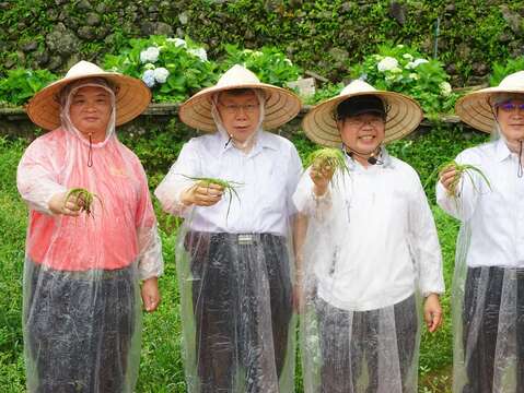 竹子湖芋見小路臺灣水韭復育活動合影_竹子湖名陽匍休閒農莊_高讚賢攝