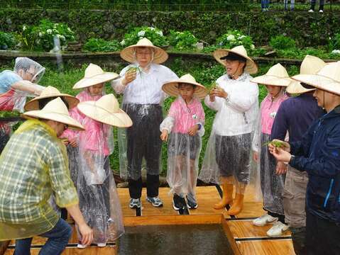 領取水韭幼苗_竹子湖名陽匍休閒農莊_高讚賢攝