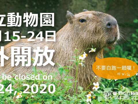 動物園6月15-24日休園，暫停開放哦！