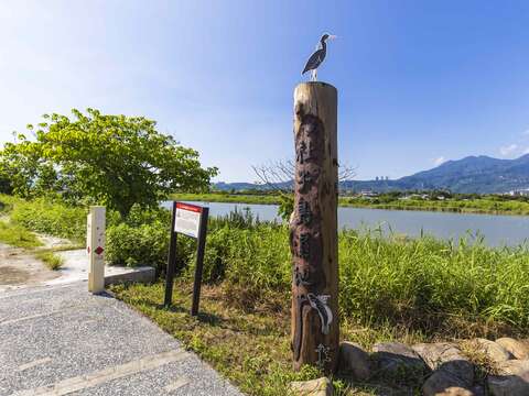 社子島濕地解說小築 是北市賞鳥的好地方