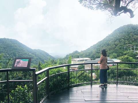 夫妻樹平台，遠眺周邊山景